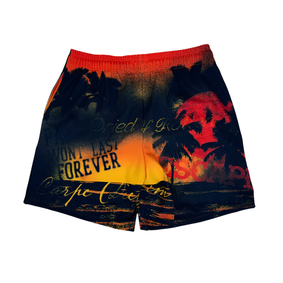 DryRot In The Moment Mesh Short