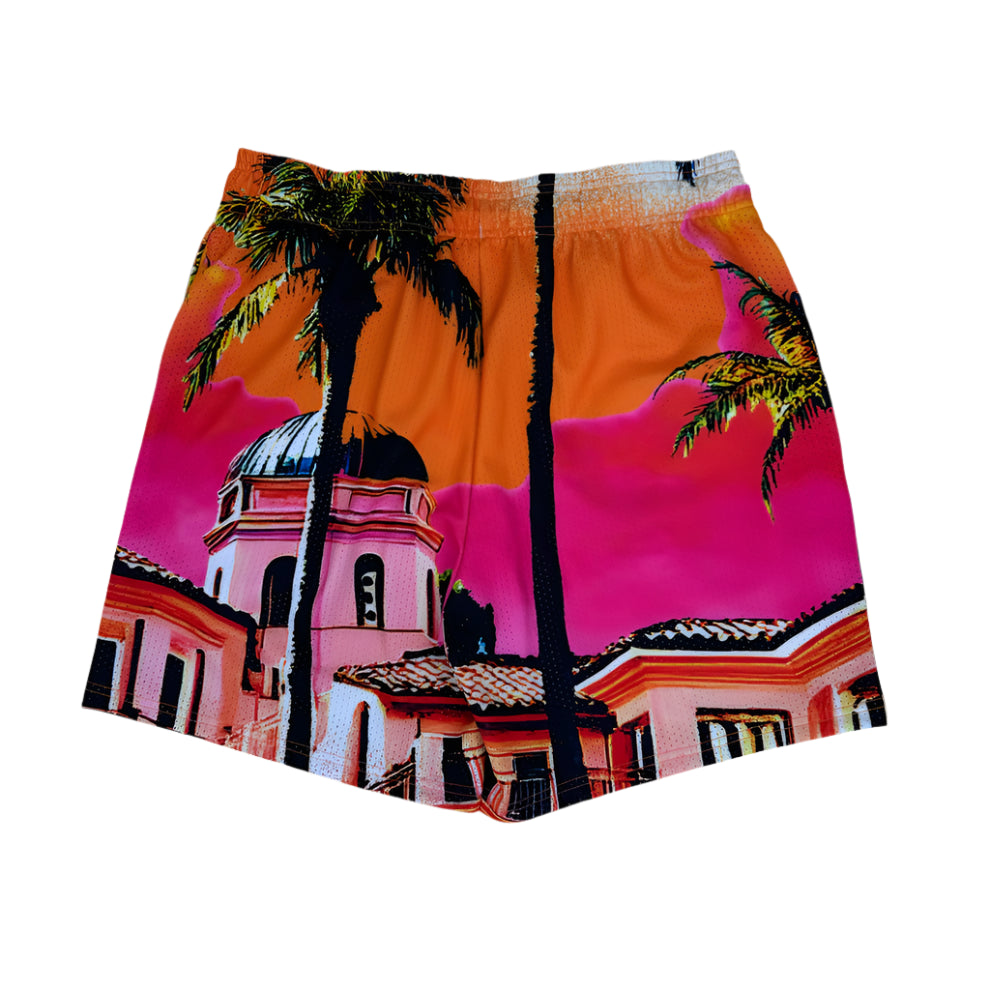 DryRot Stash House Mesh Short