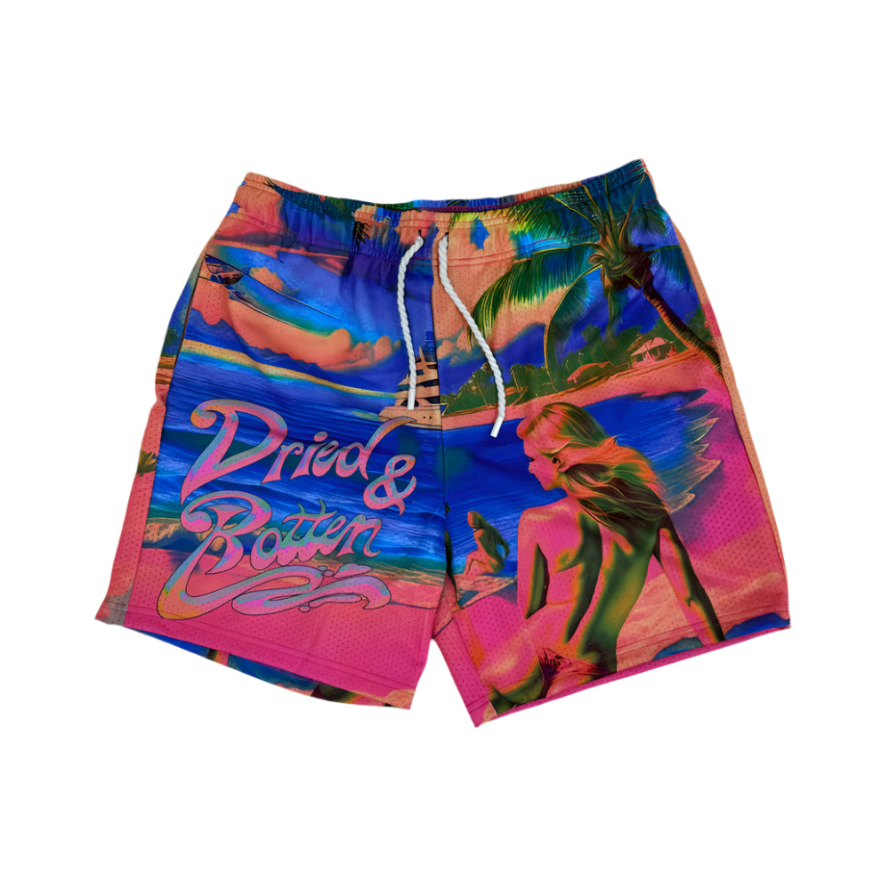 DryRot The View Mesh Short