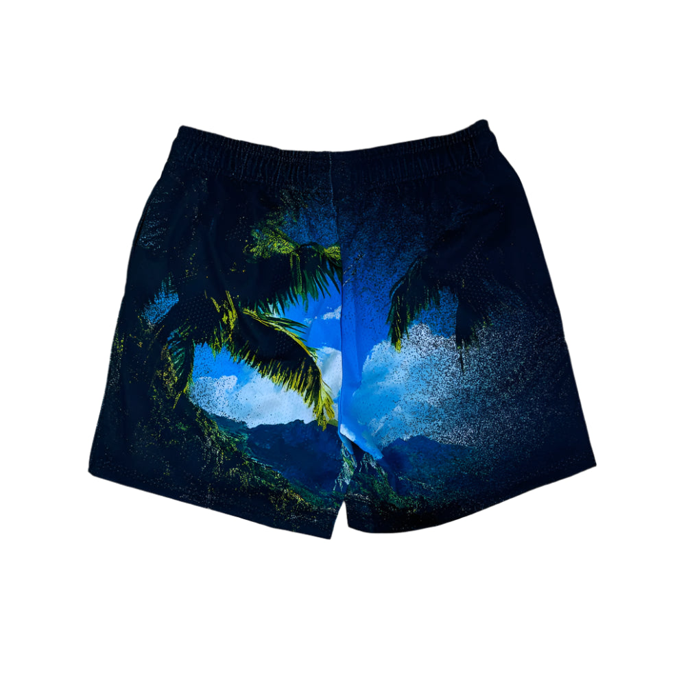 DryRot Views From Short