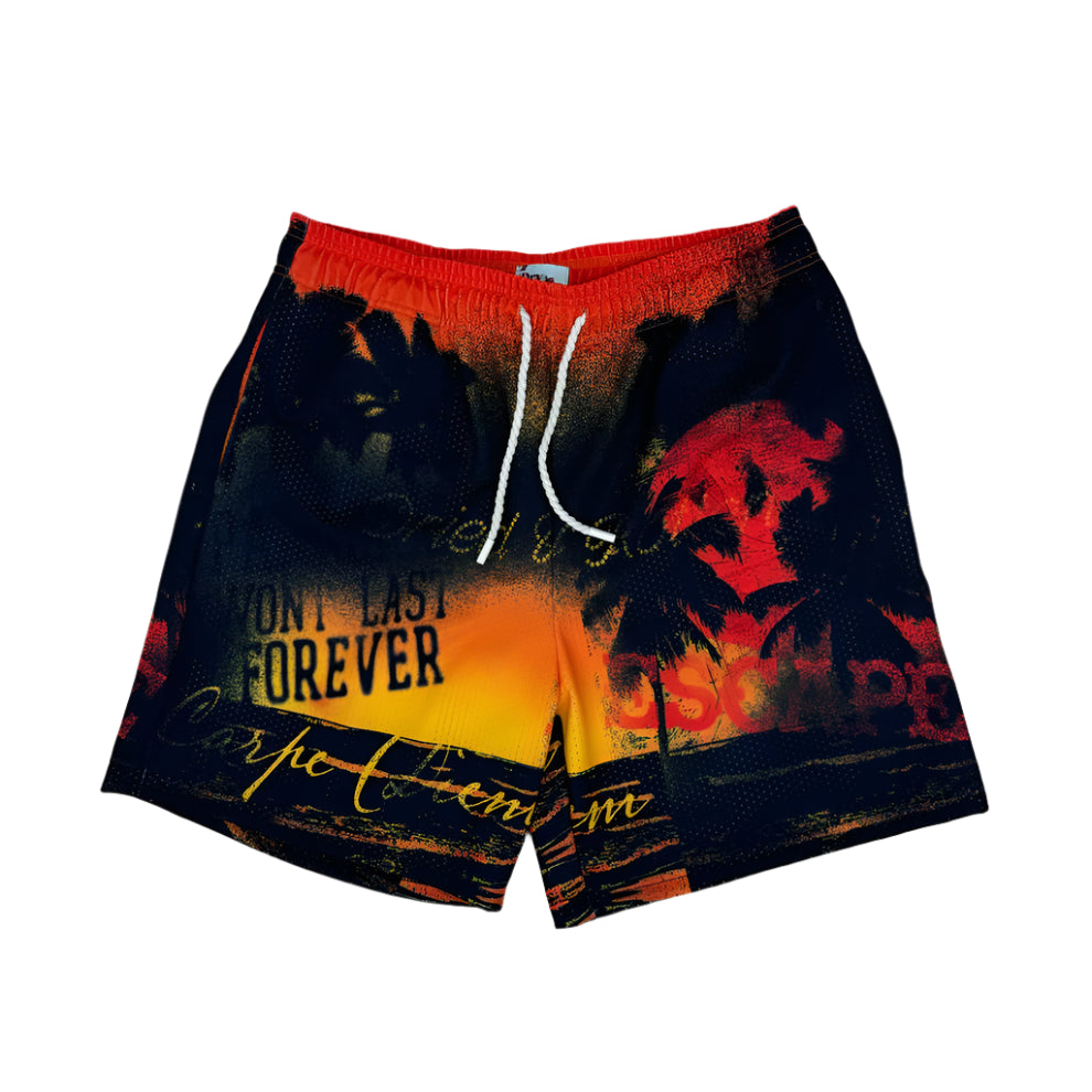 DryRot In The Moment Mesh Short