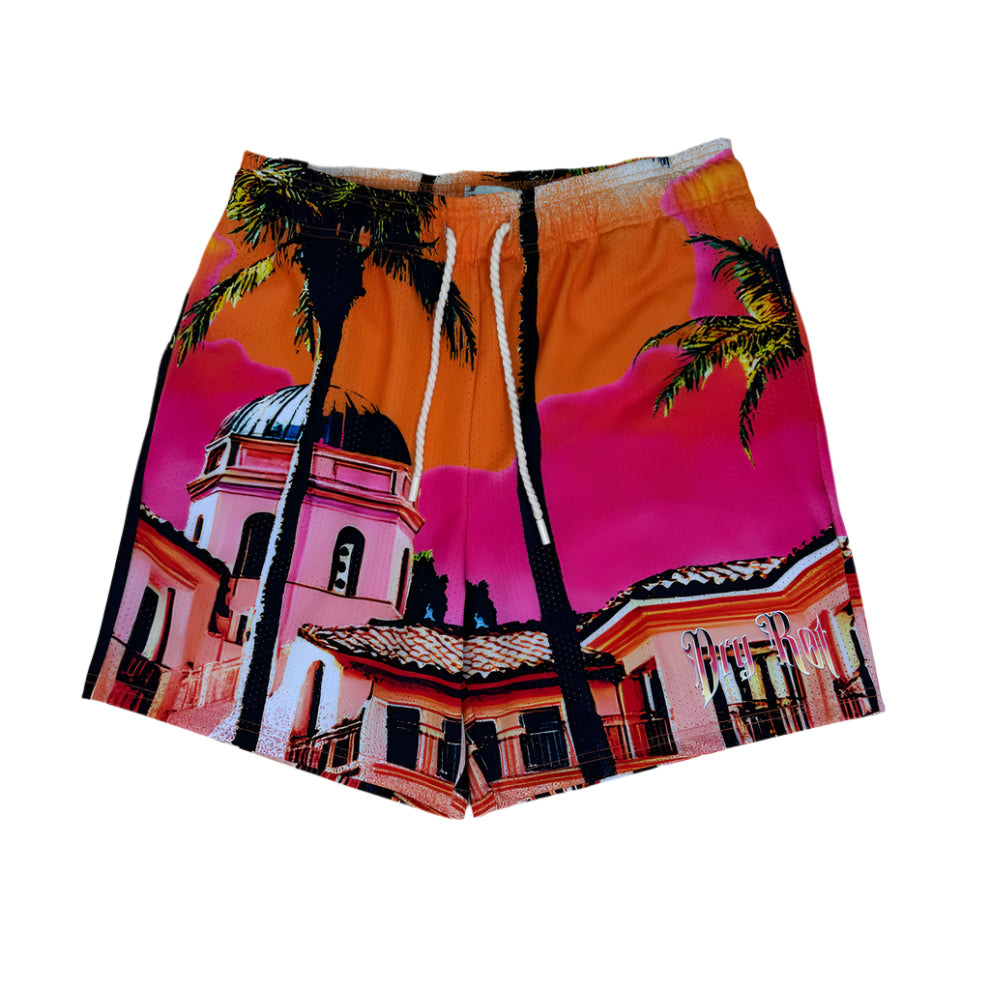 DryRot Stash House Mesh Short